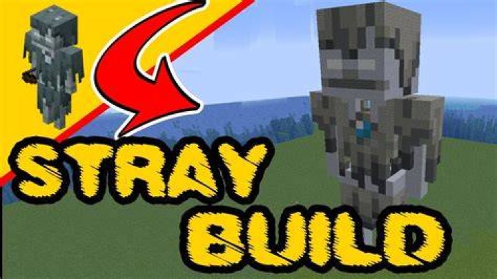 What is Stray in Minecraft?