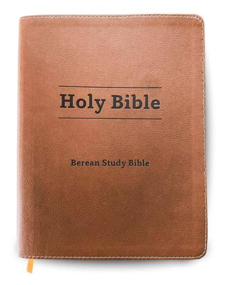 What is the Berean Study Bible (BSB)?