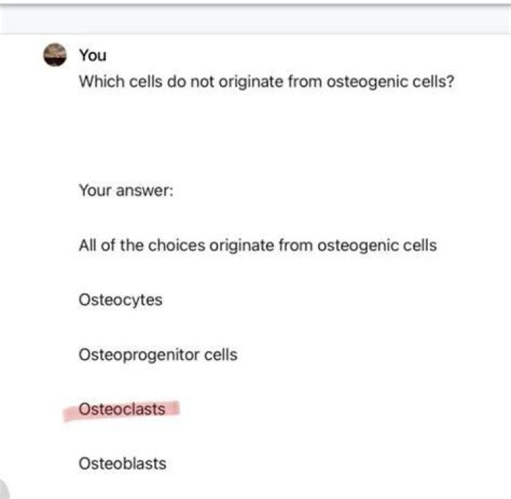 Which cells do not originate from osteogenic cells?