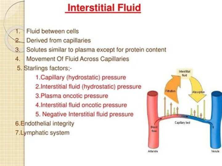 Why is hydrostatic pressure low in the interstitial fluid?