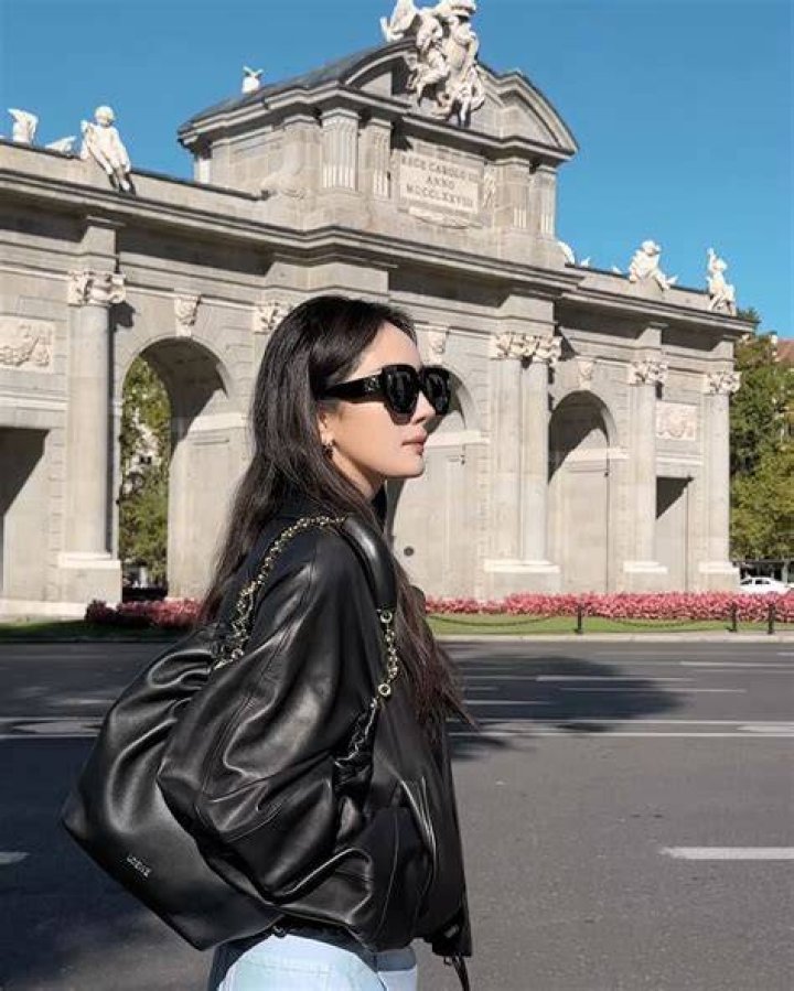 Yang Mi Bio (Wiki) 